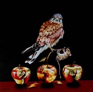 A GAME OF GOLDEN-DELICIOUS - OIL ON CANVAS  image size 16" x 16"