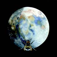 WALKING ON THE MOON - OIL ON CANVAS  image size 8" x 8"